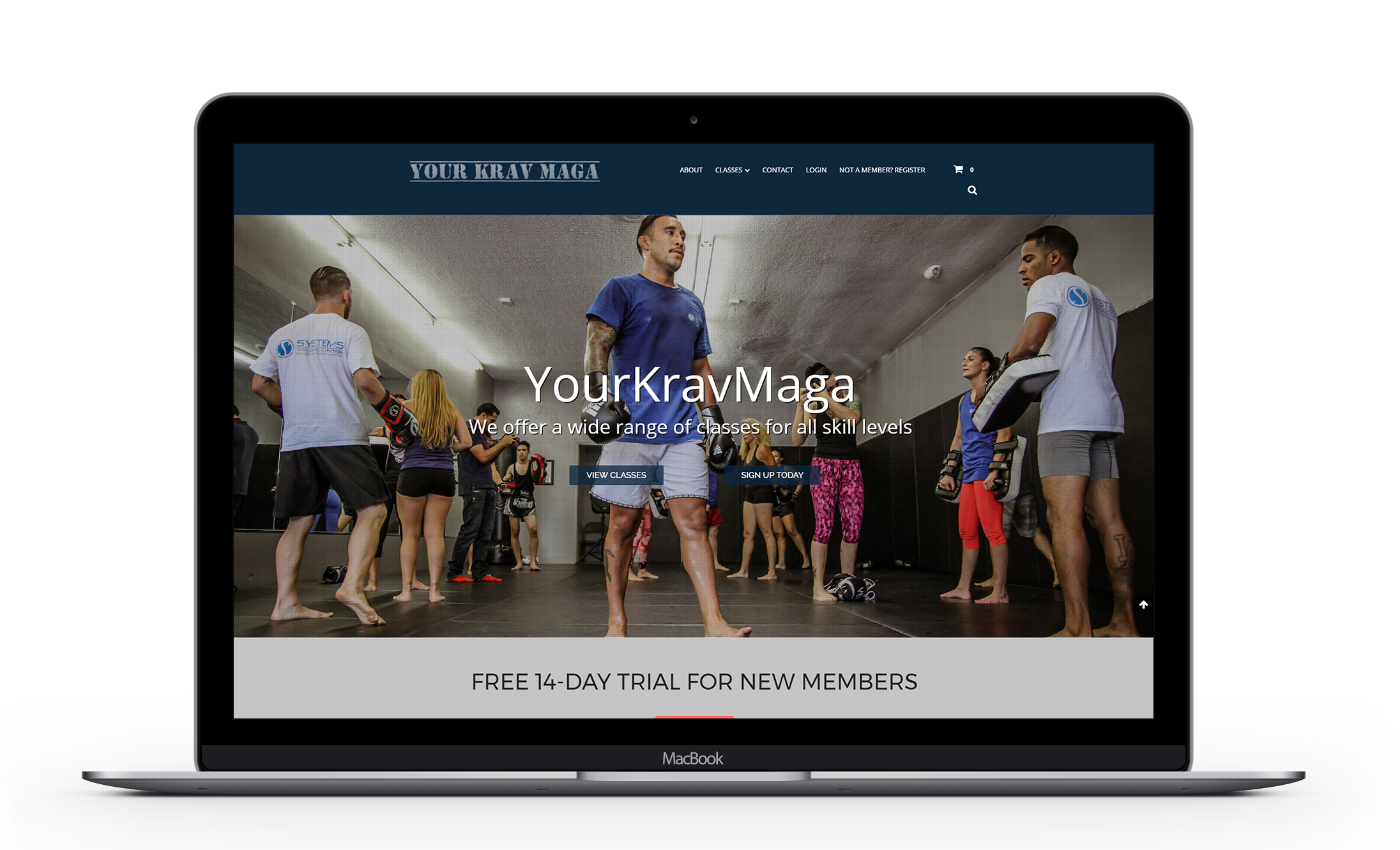 Website Design Marketing Reputation Management Emrg